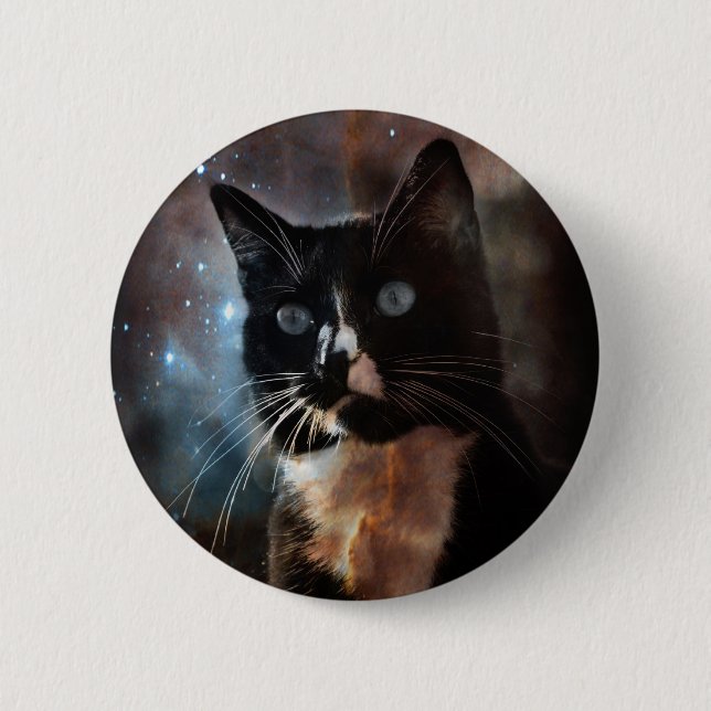 Cats in space pinback button (Front)