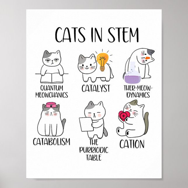 Cats In Stem Funny Science Meme Scientist Nerd Cat Poster (Front)