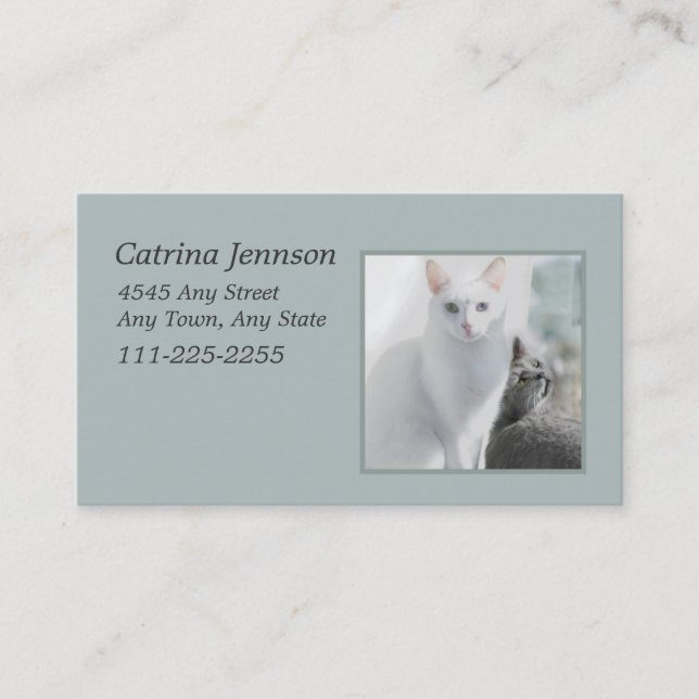 Cats in Sunny Window Business Card (Front)