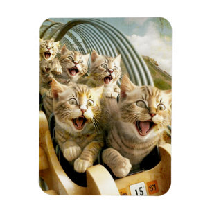 Cats in the amusement park.  magnet