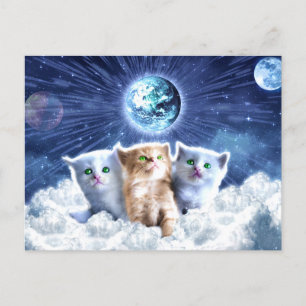 Cats in the cloud postcard