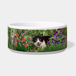 Cats in The Flower Garden Photo Collage Pet Water  Bowl