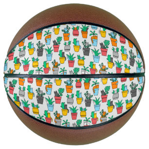 Cats in the flowerpots basketball