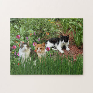 Cats in the Garden Jigsaw Puzzle