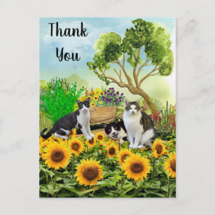 Cats in the Garden / Sunflower Thank You Collage Postcard