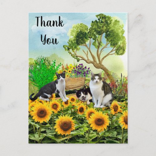 Cats in the Garden  Sunflower Thank You Collage Postcard
