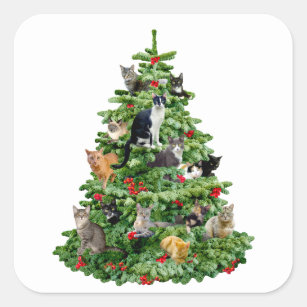 Cats in Tree Square Sticker
