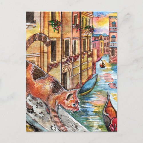 Cats In Venice Postcard