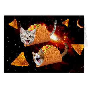 Cats inside space tacos