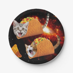 Cats inside space tacos paper plates