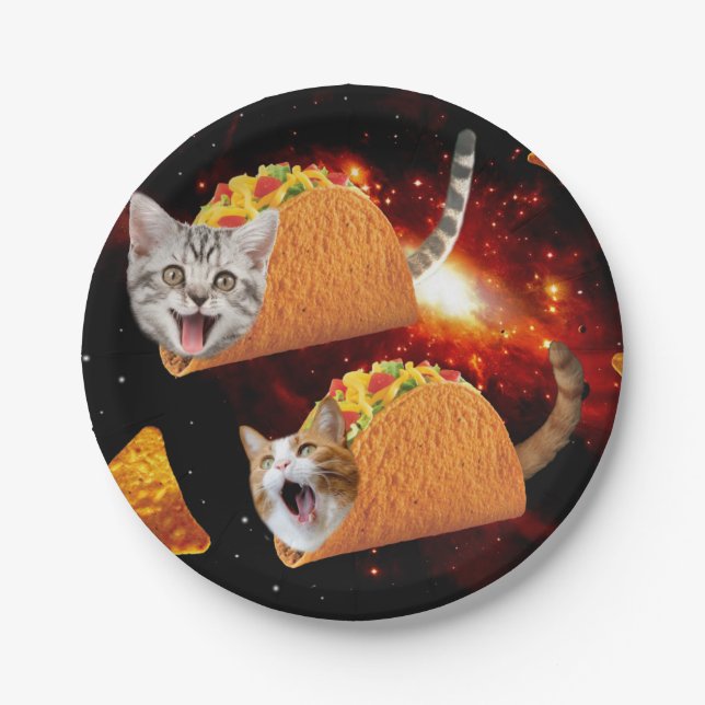Cats inside space tacos paper plates (Front)