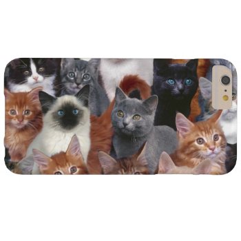 Cats Iphone 6 Plus Case by Three_Men_and_a_Mama at Zazzle