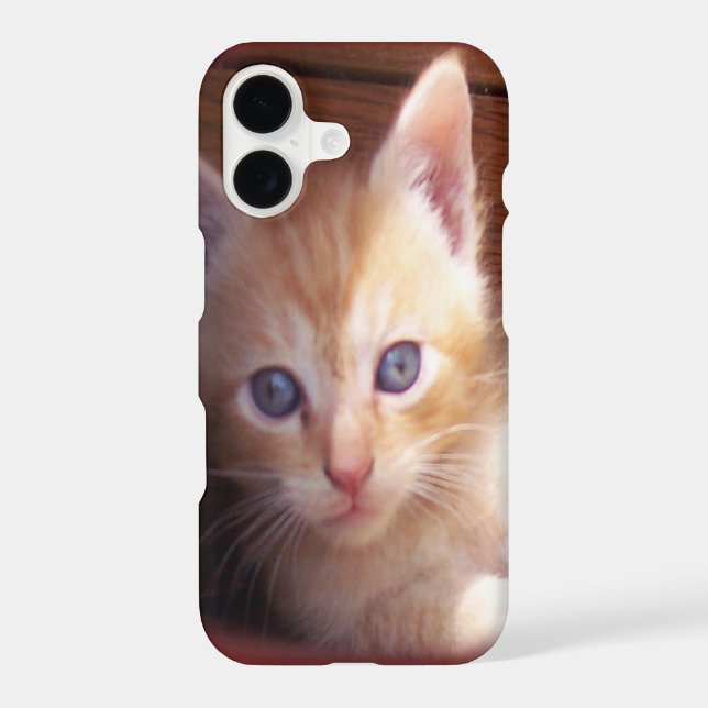 Cats Iphone Case (Back)