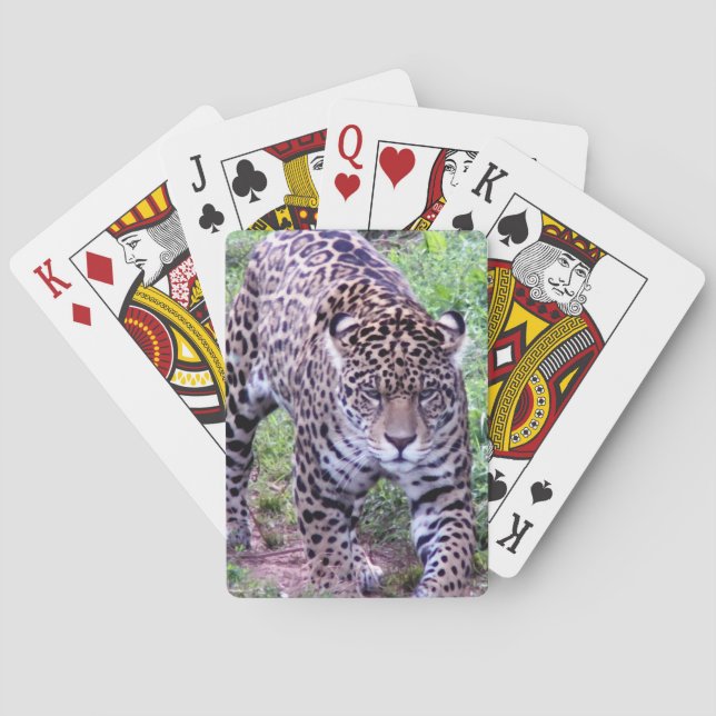 Cats Jaguar Safari Jungle Destiny Nature Peace Poker Cards (Back)