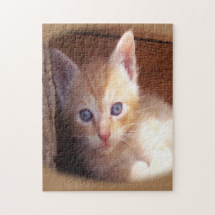 Cats Jigsaw Puzzle