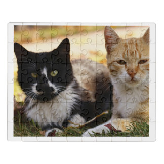 cats jigsaw puzzle