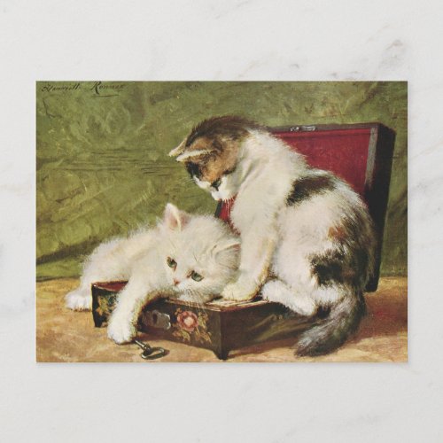 Cats Kitten Vintage Illustration Art Postcard