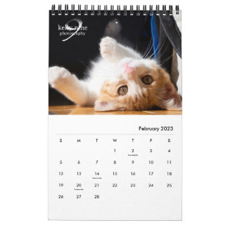 Cats & Kittens by Kelly Nine Photography Calendar