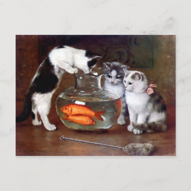 Cats Kittens Fishing in a Fish Bowl painting Postcard (Front)
