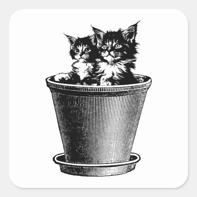 Cats Kittens In Flower pot Animal Pets Art Square Sticker (Front)