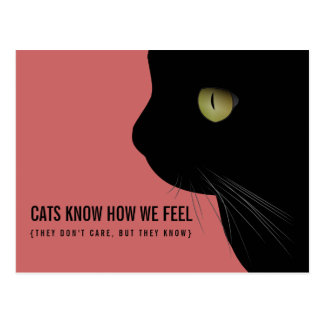 Cats Know How We Feel Funny Postcard