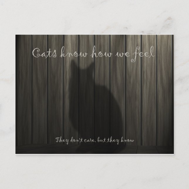 Cats Know How We Feel Postcard (Front)