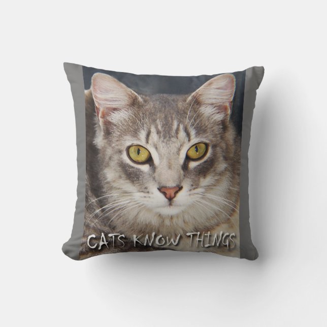 CATS KNOW THINGS  THROW PILLOW (Front)