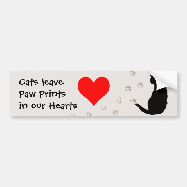 Cats leave paw-prints in our hearts bumper sticker (Front)