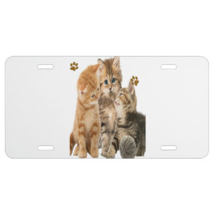 Cats License Plate