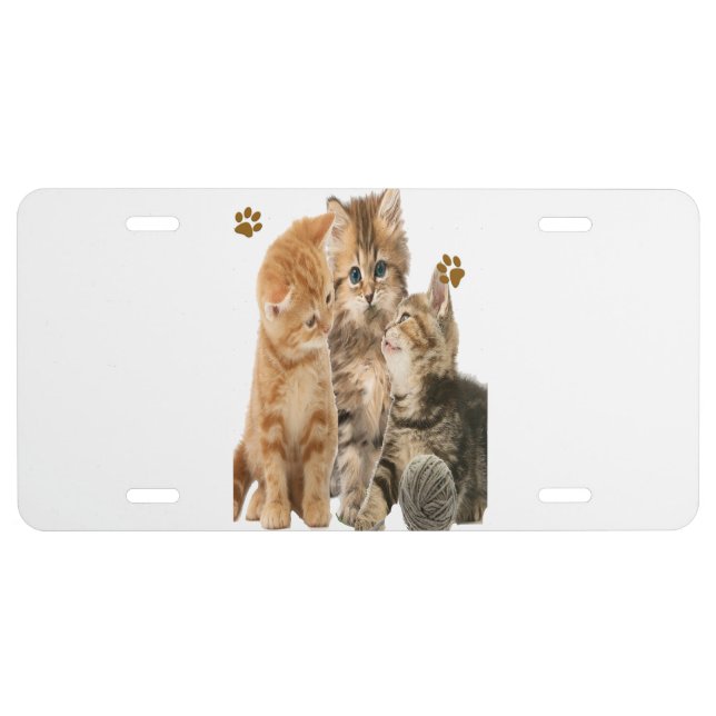 Cats License Plate (Front)