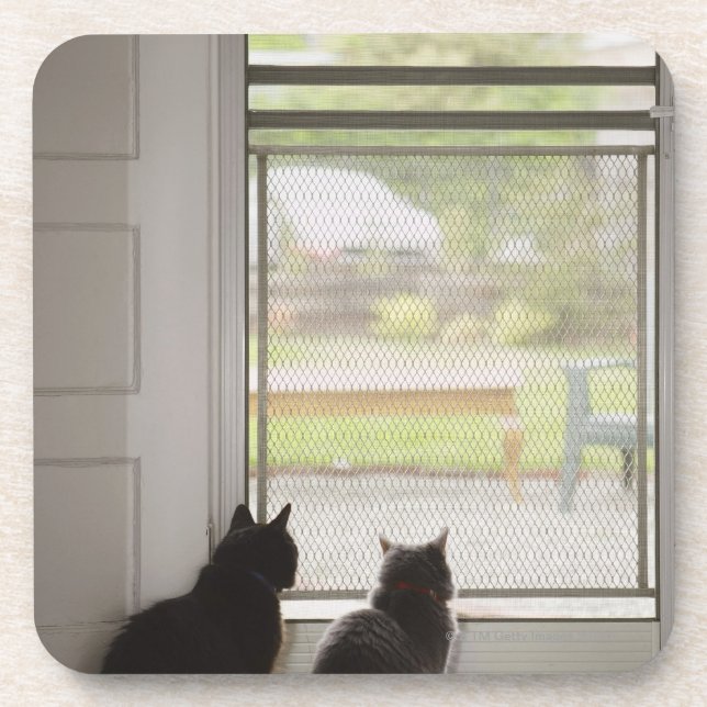 Cats looking out screen door beverage coaster (Front)