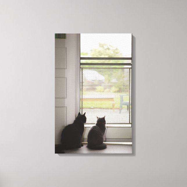 Cats looking out screen door canvas print (Front)