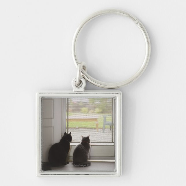Cats looking out screen door keychain (Front)