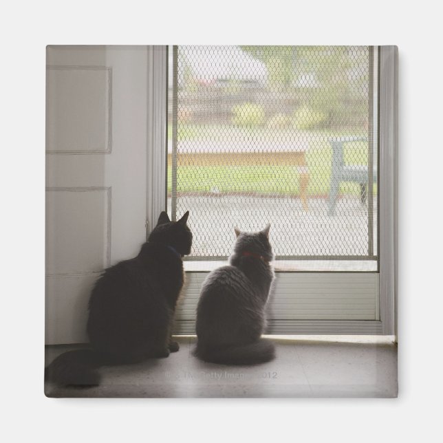 Cats looking out screen door magnet (Front)