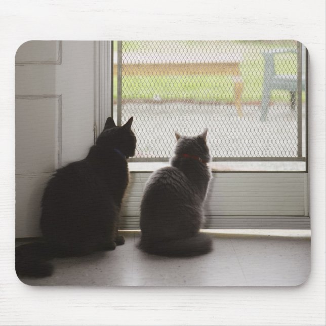 Cats looking out screen door mouse pad (Front)