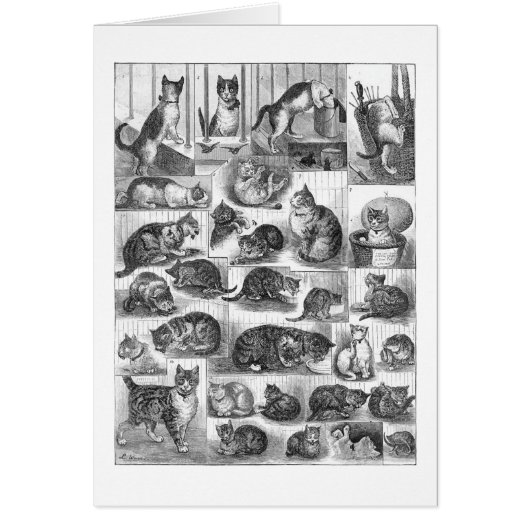 Cats, Louis Wain Cards (Front)