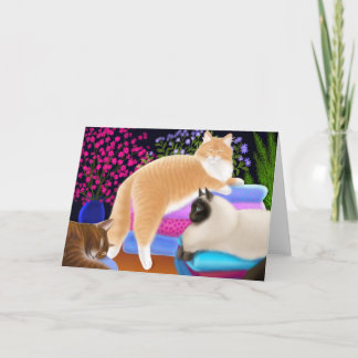 Cats Love Clean Laundry Card