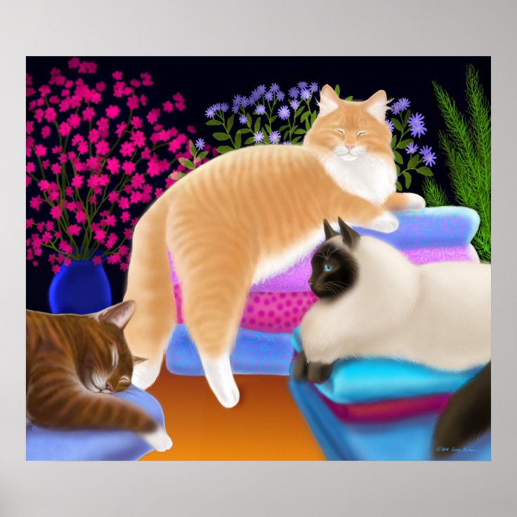 Cats Love Clean Laundry Poster Zazzle