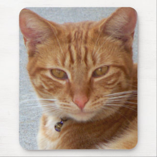 Cat's Lover_ Mouse Pad