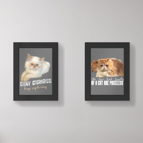 Cats Lovers  Wall Art Sets