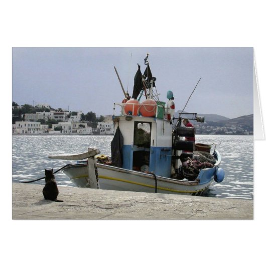 Cat's Lunchboat (Front Horizontal)