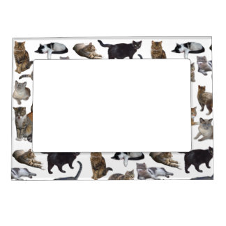 Cats Magnetic Frame