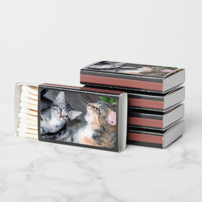 Cats\ Matchboxes (Stacked)