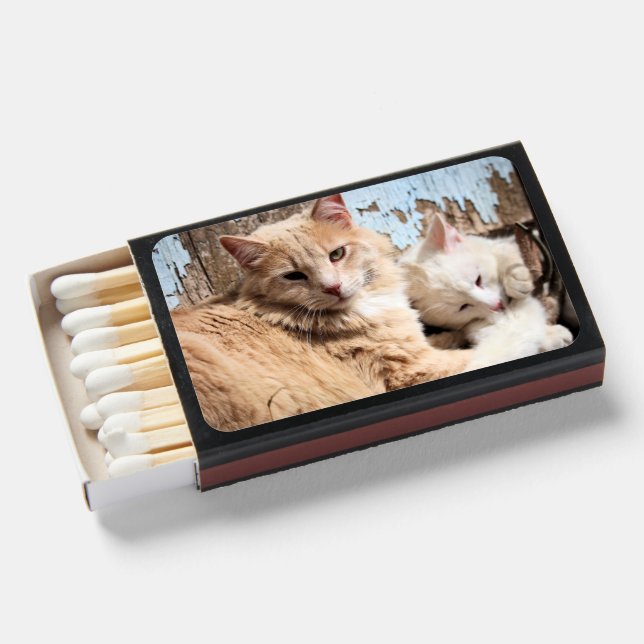 Cats Matchboxes (Front Open)