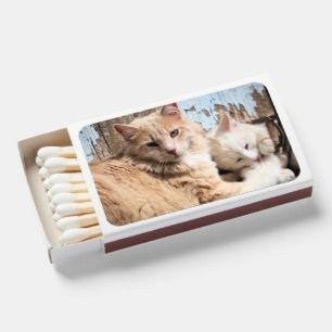 Cats Matchboxes