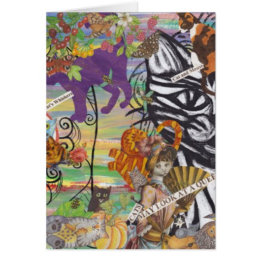 Cats May Look at a Queen Card (Front)