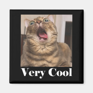 Cats Meme Graphic Silly Cat Humor Funny Cat Very C Magnet