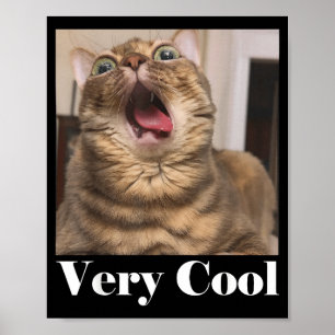 Cats Meme Graphic Silly Cat Humor Funny Cat Very C Poster