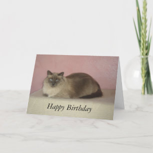 Cat's Meow Birthday Card