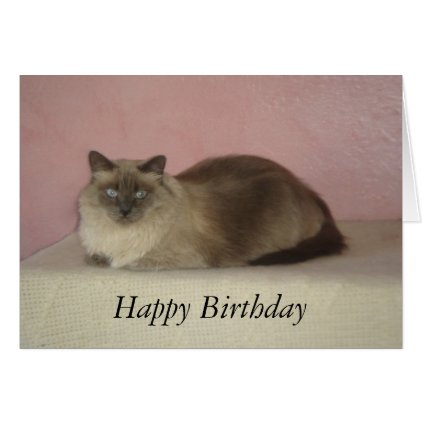 Cat&#39;s Meow Birthday Card